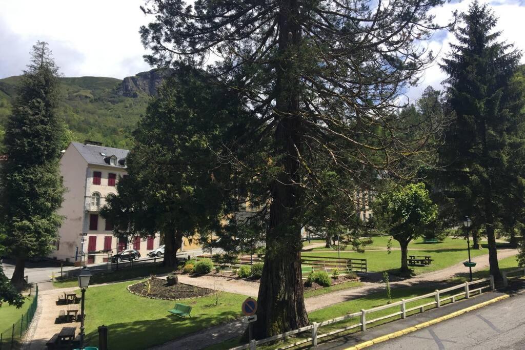 Cocon De La Vallee D'Ossau , Veritable Havre De Paix - 4 A 6 Pers Eaux-Bonnes Eksteriør bilde